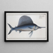 Thonier - Marcus Elieser Bloch — framed artwork on a wall