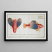 Trigla punctata The dotted gurnard - Marcus Elieser Bloch — framed artwork on a wall