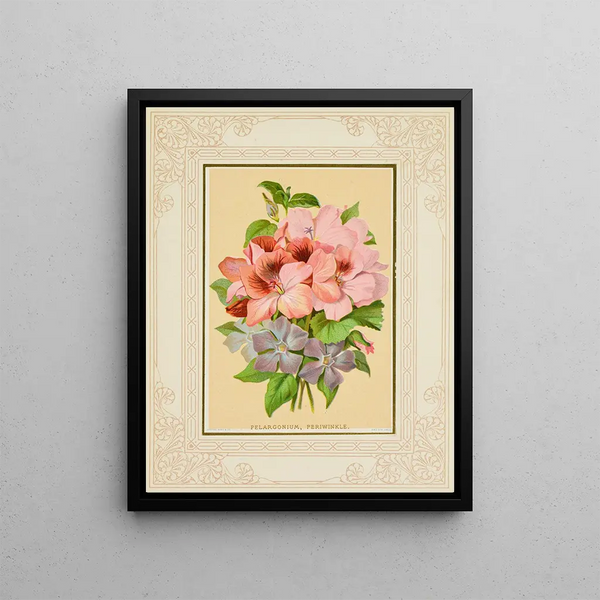 Pélargonium, periwinkle - Marcus Ward & Co. — framed artwork on a wall
