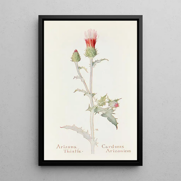 Arizona Sage Painting - Margaret Armstrong — framed artwork on a wall