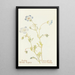 Némophile - Margaret Armstrong — framed artwork on a wall