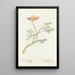 Bicolored Lupin Painting - Margaret Armstrong — framed artwork on a wall