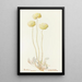 Boules de beurre - Margaret Armstrong — framed artwork on a wall