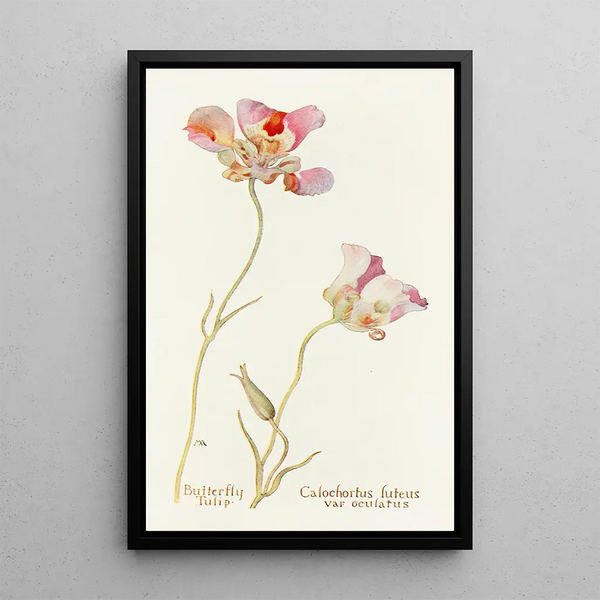 Tulip Butterfly Painting - Margaret Armstrong — framed artwork on a wall