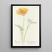California Poppy Painting - Margaret Armstrong — framed artwork on a wall