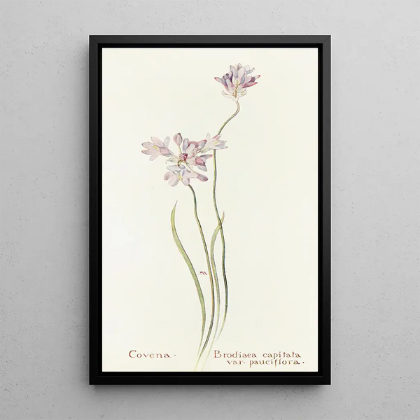 Covena - Margaret Armstrong — framed artwork on a wall