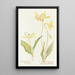 Erythrone - Margaret Armstrong — framed artwork on a wall