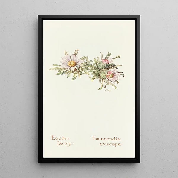 Easter Daisy Painting - Margaret Armstrong — framed artwork on a wall