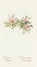 Easter Daisy Painting - Margaret Armstrong — artwork view