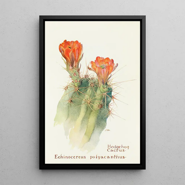 Cactus Hedgehog - Margaret Armstrong — framed artwork on a wall