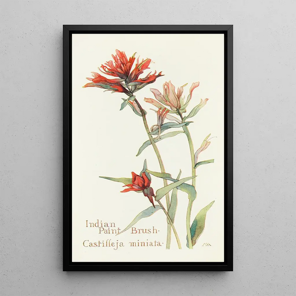 Castillleja - Margaret Armstrong — framed artwork on a wall