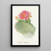Opuntia basilaris - Margaret Armstrong — framed artwork on a wall