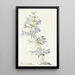 Penstemon cyananthus - Margaret Armstrong — framed artwork on a wall