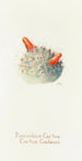 Cactus cushion painting - Margaret Armstrong — artwork view