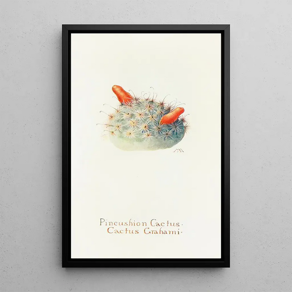 Cactus cushion painting - Margaret Armstrong — framed artwork on a wall