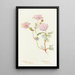 Sand Verbena Painting - Margaret Armstrong — framed artwork on a wall