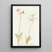 Petite étoile filante - Margaret Armstrong — framed artwork on a wall