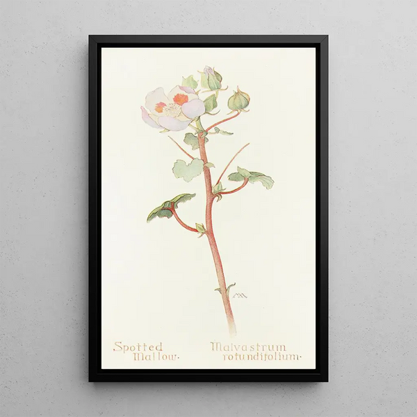 Mauve Spotted Painting - Margaret Armstrong — framed artwork on a wall