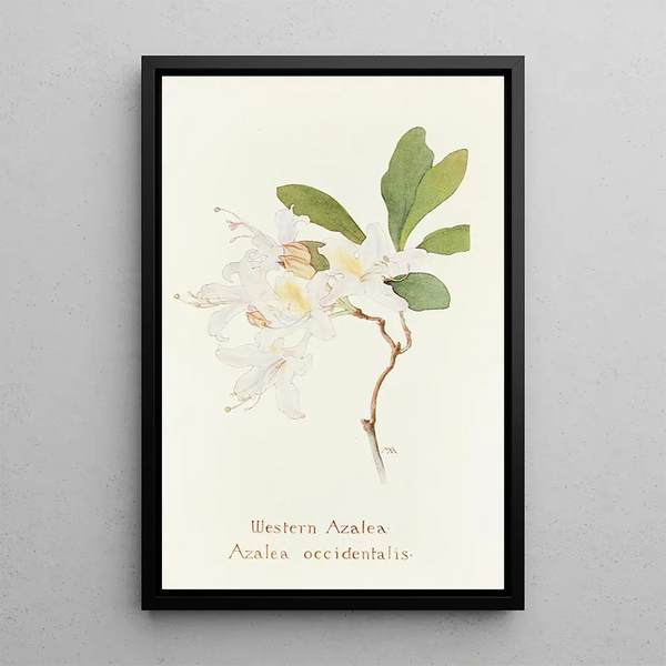 West Azalea Painting - Margaret Armstrong — framed artwork on a wall
