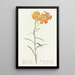 West Gillyflower Painting - Margaret Armstrong — framed artwork on a wall