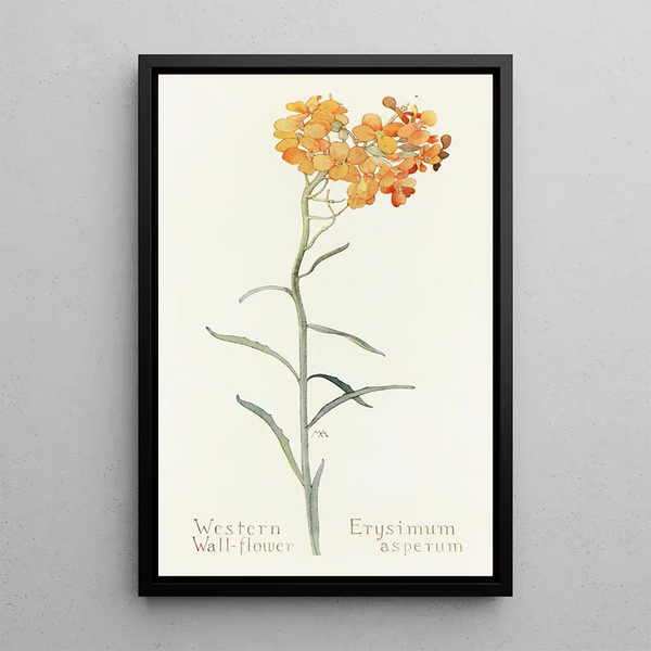 West Gillyflower Painting - Margaret Armstrong — framed artwork on a wall