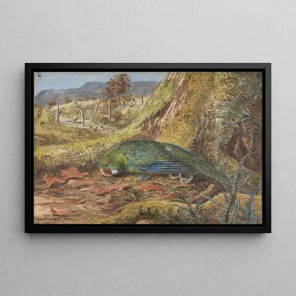 Indigenous Parrot in a moss and shrub frame - Margaret Stoddart — framed artwork on a wall