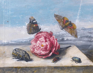 Still life with insects around a rose on a stone ledge - Margareta de Heer — artwork view