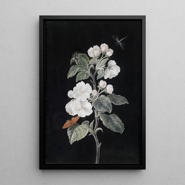 Apple Blossom - Margaretha Barbara Dietzsch — framed artwork on a wall