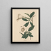 Calice de vigne - Maria Katharina Prestel — framed artwork on a wall