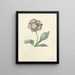 Flower Study Painting - Maria Margaretha van Os — framed artwork on a wall