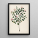 Study of a red-purple flowering plant Sebastiana africana purpurea - Maria Moninckx — framed artwork on a wall