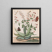 Butterflies, a Snake, and a Turtle Around a Flowering Agave - Maria Moninckx — framed artwork on a wall