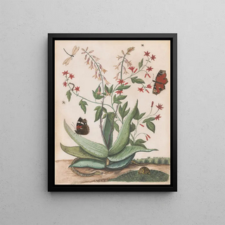 Maria Monninckx - Vlinders een slang en een schildpad rondom een bloeiende agave.webp
