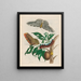 Gummi-gutta Tree - Maria Sibylla Merian — framed artwork on a wall