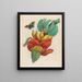 Banana - Maria Sibylla Merian — framed artwork on a wall
