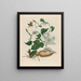 Battattes - Maria Sibylla Merian — framed artwork on a wall