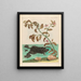 Cresson - Maria Sibylla Merian — framed artwork on a wall