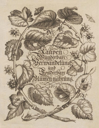 Maria Sibylla Merian - Der Raupen wunderbare Verwandelung und sonderbare BlumenNahrung Pl001.webp