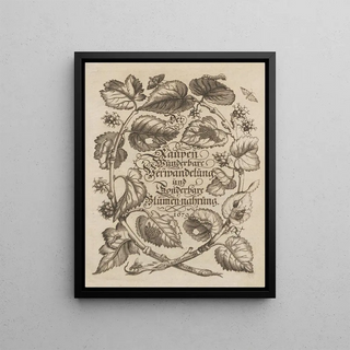 Maria Sibylla Merian - Der Raupen wunderbare Verwandelung und sonderbare BlumenNahrung Pl001.webp