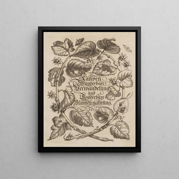 The Miraculous Transformation of Caterpillars and the Strange Food for Flowers Pl. 001 - Maria Sibylla Merian — framed artwork on a wall