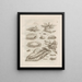 The Miraculous Transformation of Caterpillars and the Strange Food for Flowers Pl. 002 - Maria Sibylla Merian — framed artwork on a wall