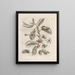 La transformation miraculeuse des chenilles et l'étrange nourriture pour fleurs Pl. 005 - Maria Sibylla Merian — framed artwork on a wall