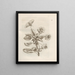 The Miraculous Transformation of Caterpillars and the Strange Food for Flowers Pl. 010 - Maria Sibylla Merian — framed artwork on a wall