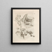 The Miraculous Transformation of Caterpillars and the Strange Food of Flowers Pl038 - Maria Sibylla Merian — framed artwork on a wall