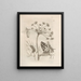 The Miraculous Transformation of Caterpillars and the Strange Food of Flowers Pl039 - Maria Sibylla Merian — framed artwork on a wall