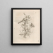 The Miraculous Transformation of Caterpillars and the Strange Food of Flowers Pl041 - Maria Sibylla Merian — framed artwork on a wall