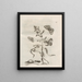 The Miraculous Transformation of Caterpillars and the Strange Food of Flowers Pl055 - Maria Sibylla Merian — framed artwork on a wall