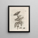 The Miraculous Transformation of Caterpillars and the Strange Food of Flowers Pl059 - Maria Sibylla Merian — framed artwork on a wall