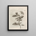 La transformation miraculeuse des chenilles et l'étrange nourriture des fleurs Pl064 - Maria Sibylla Merian — framed artwork on a wall