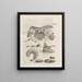 The Miraculous Transformation of Caterpillars and the Strange Food of Flowers Pl074 - Maria Sibylla Merian — framed artwork on a wall